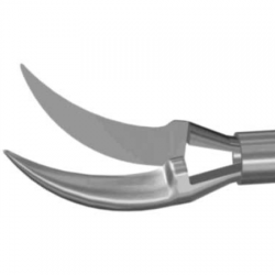 Curved Scissor (Scissors)